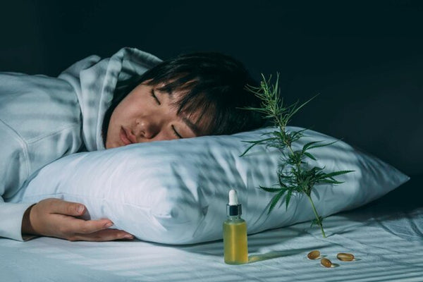Understanding the Endocannabinoid System and Sleep