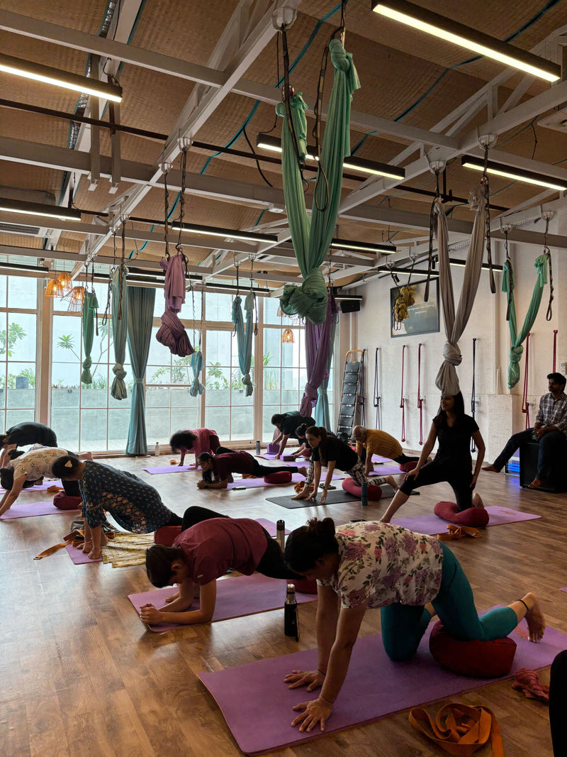 People performing rehabilitation yoga at Utsav Yoga