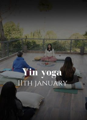 Yin Yoga session at Amala Earth Store, Vasant Vihar